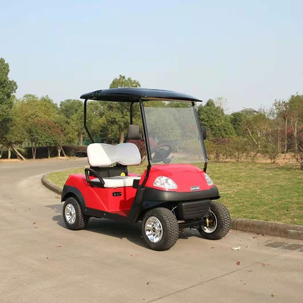 Hero model Hot Sale High Quality 2 Seats Electric Golf Cart with CE Certification