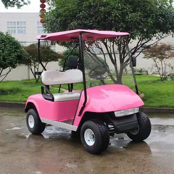 Hero model Hot Sale High Quality 2 Seats Electric Golf Cart with CE Certification